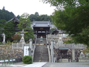 楊谷寺　7　DSCF0571.JPG